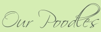 Our Poodles jpg of the text